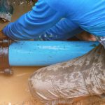 Identifying Early Signs of Water Leaks in Your Home